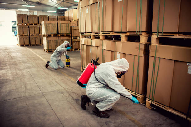 Reliable Westchester, IL Pest Control Solutions