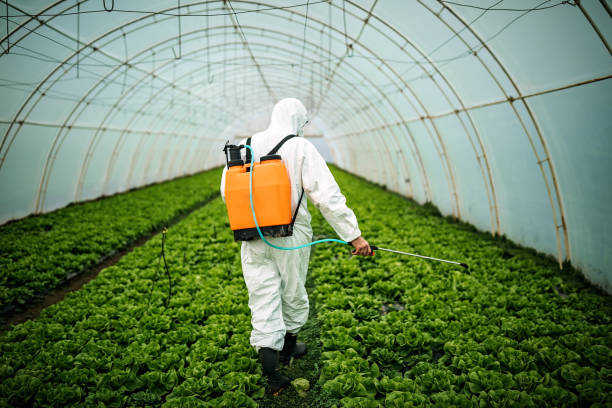 Best Affordable Pest Control Services  in Westchester, IL