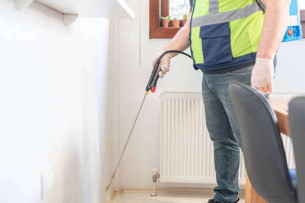 Best Rat Extermination Near Me  in Westchester, IL