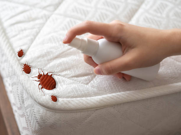 Best Pest Inspection Near Me  in Westchester, IL