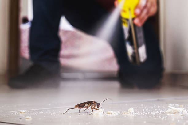 Pest Control for Restaurants in Westchester, IL